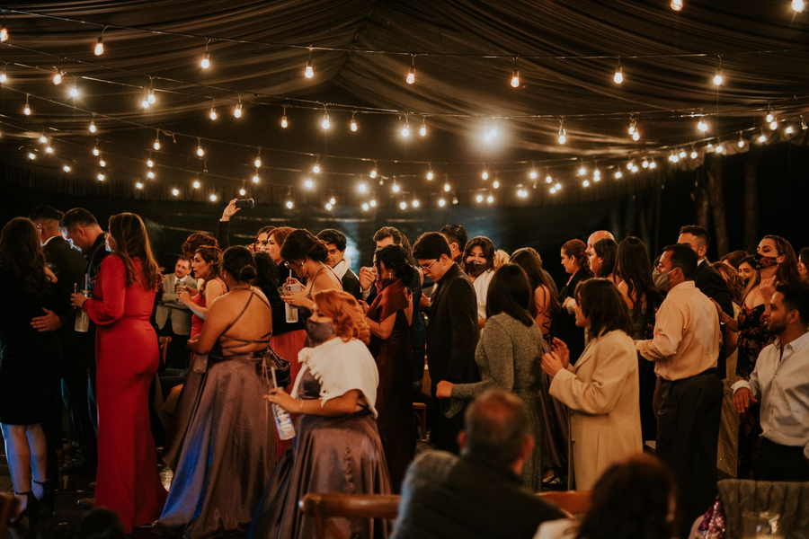 Guests at an elegant evening reception